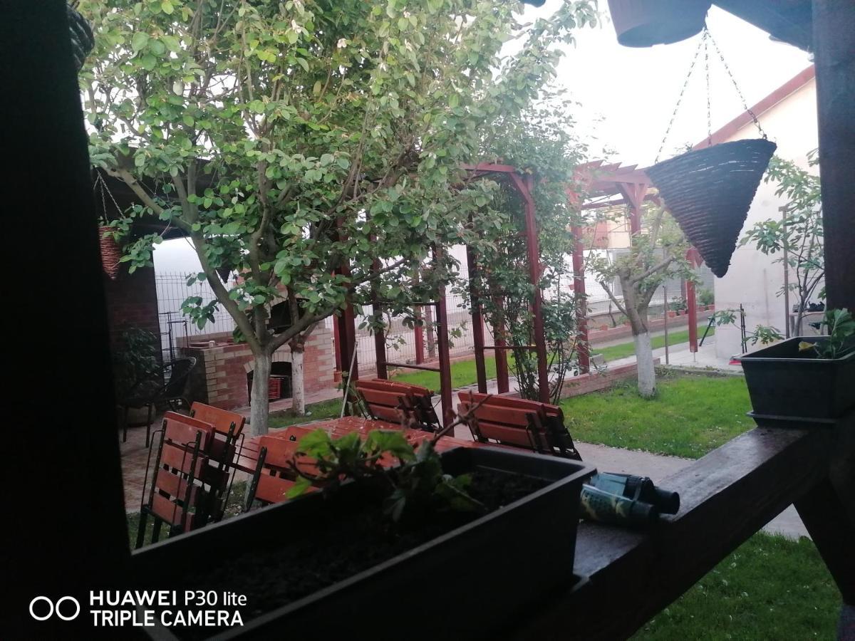 Casa Stefy Vama Veche Bagian luar foto
